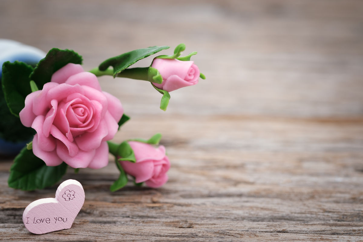 shallow-focus-photo-of-pink-ceramic-roses-1028707.jpg