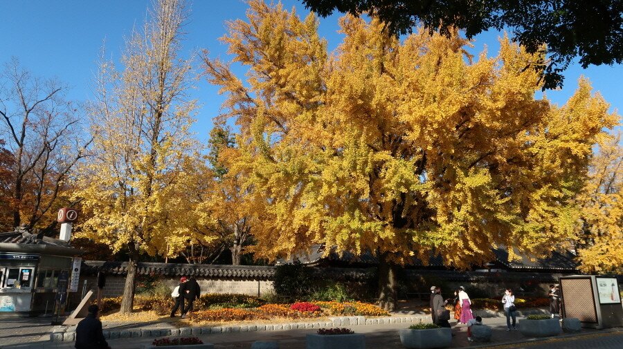 30.JPG 먹으러 간 전주, 군산 [ 1편 ]