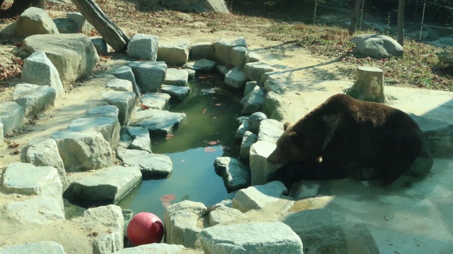 4.JPG 먹으러 간 전주, 군산 [ 3편 ]