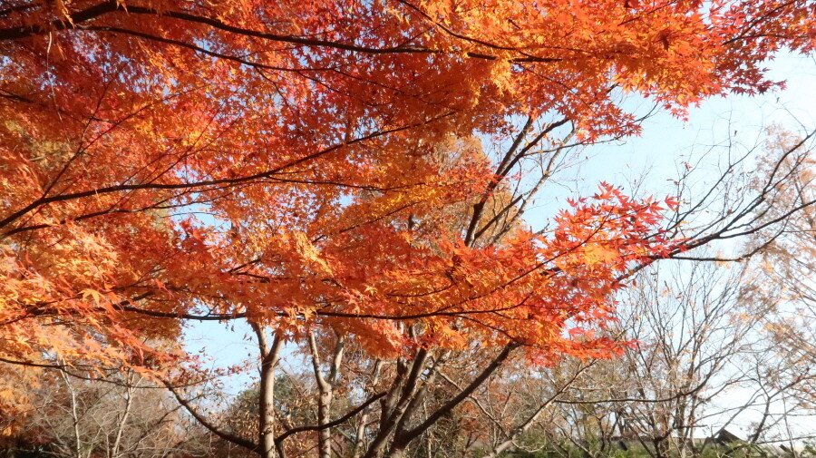 3.JPG 먹으러 간 전주, 군산 [ 3편 ]