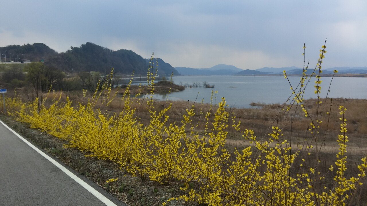 20160325_135217_HDR.jpg 5년 전 나 혼자 자전거 국토종주 여행기(인천~부산) 2편