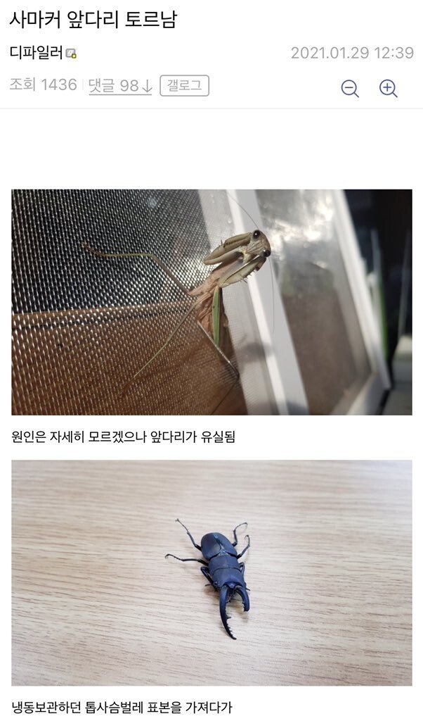 사마귀한테 의수 달아주기