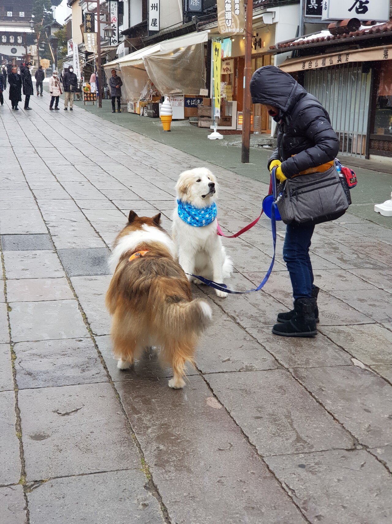 20190131_105018.jpg 눈으로 덮인 겨울 니가타&나가노 여행기(2) (스압?)