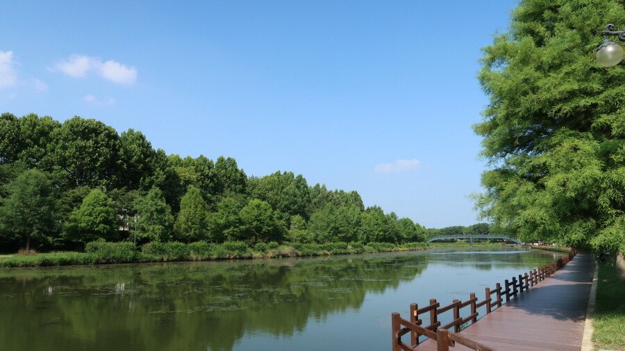 11.JPG 군산, 전라남도 먹거리 여행 [ 3편 ] - 담양, 광주