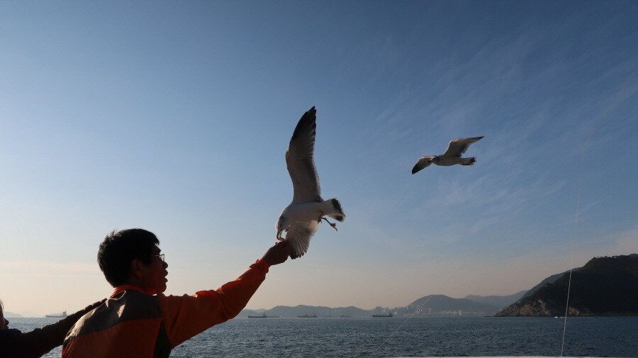 19.JPG 먹으러 간 부산여행 [ 0편 ]