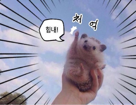 힘내.jpg