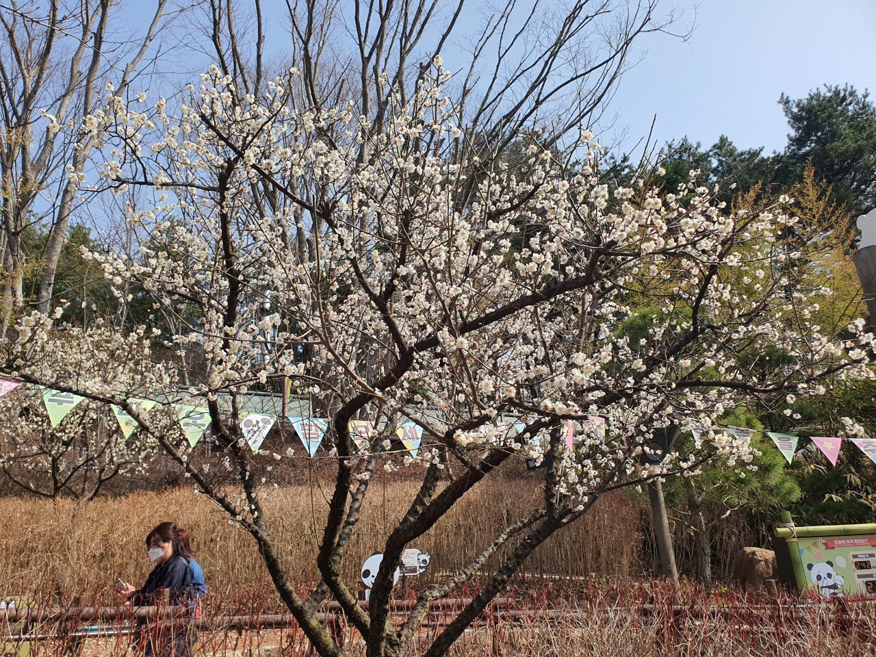 20210319_103737.jpg 오랜만에 용인 에버랜드에 다녀온 후기