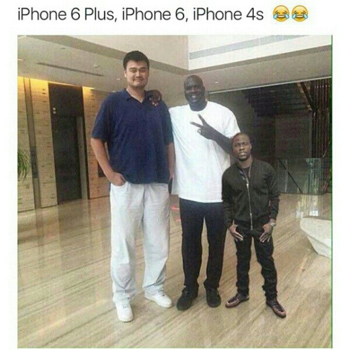 6c94fa624d08da8eb0e916aecf450a65--nba-memes-funny-memes.jpg