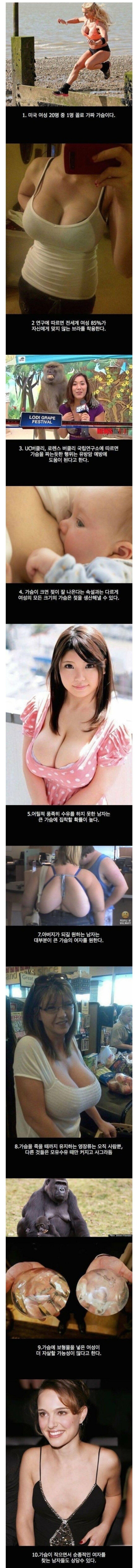 가슴썰.jpg