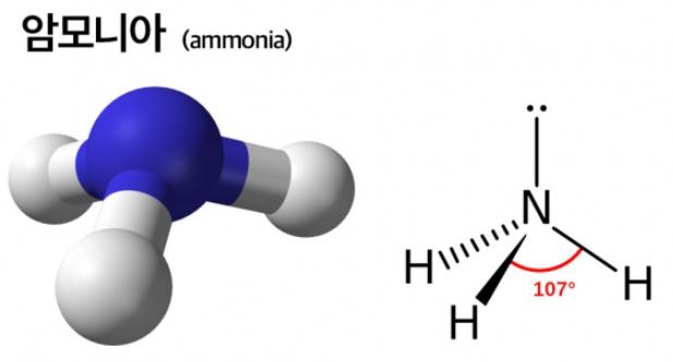 암모니아.png.jpg