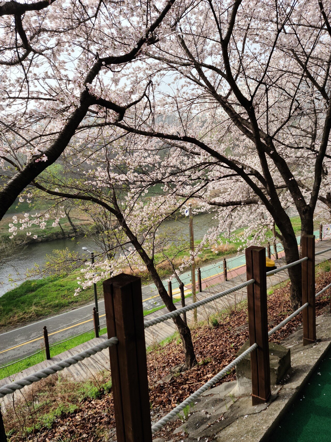 20210329_084742.jpg (스압) 서울 도곡역에서 인천 소래포구역까지 걸어서 가봤습니다