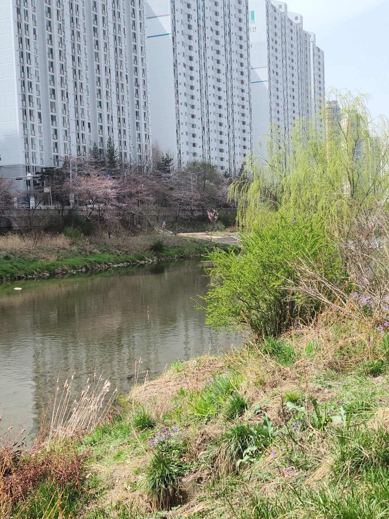 20210329_133247.jpg (스압) 서울 도곡역에서 인천 소래포구역까지 걸어서 가봤습니다