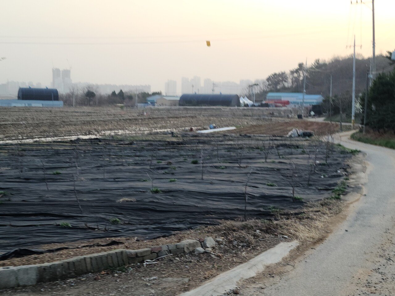 20210329_183750.jpg (스압) 서울 도곡역에서 인천 소래포구역까지 걸어서 가봤습니다