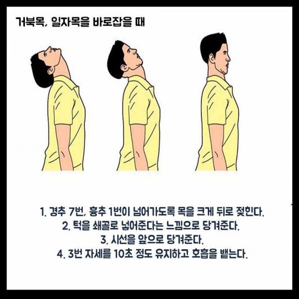 척추_바로잡는_스트레칭법2.jpg