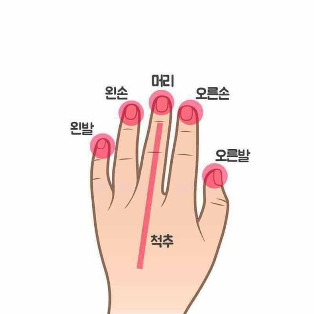 다운로드 (2).jpg