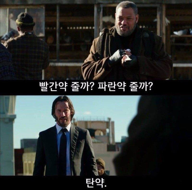 빨간약줄까파란약줄까.jpg