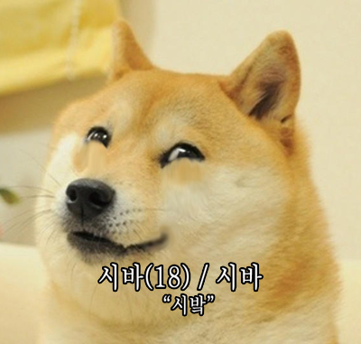 시밬.png