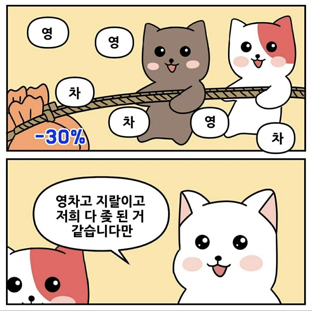 영차영차.jpg