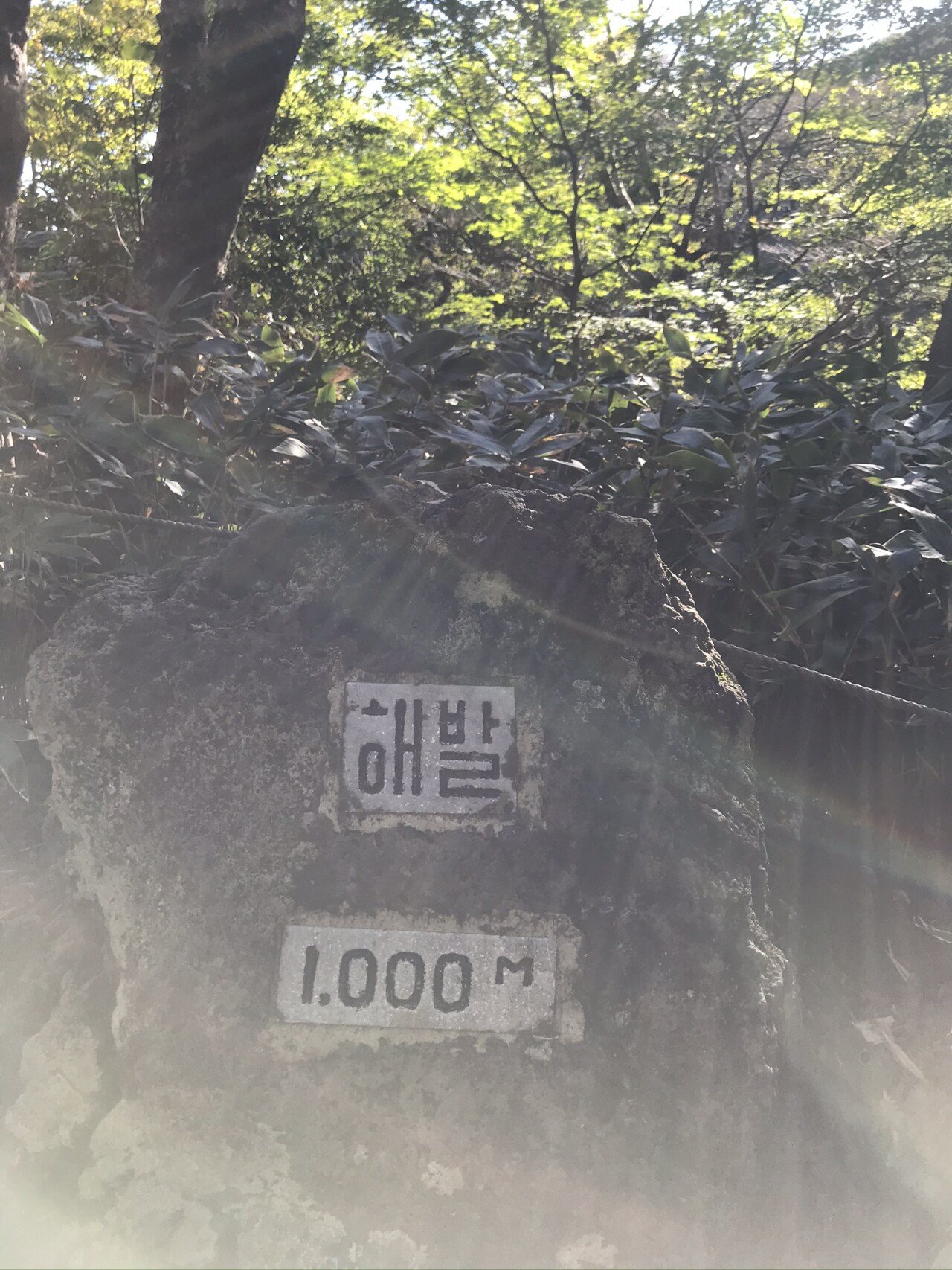 해발고도1000(0850).jpeg (개스압)10월 초 한라산 등반후기