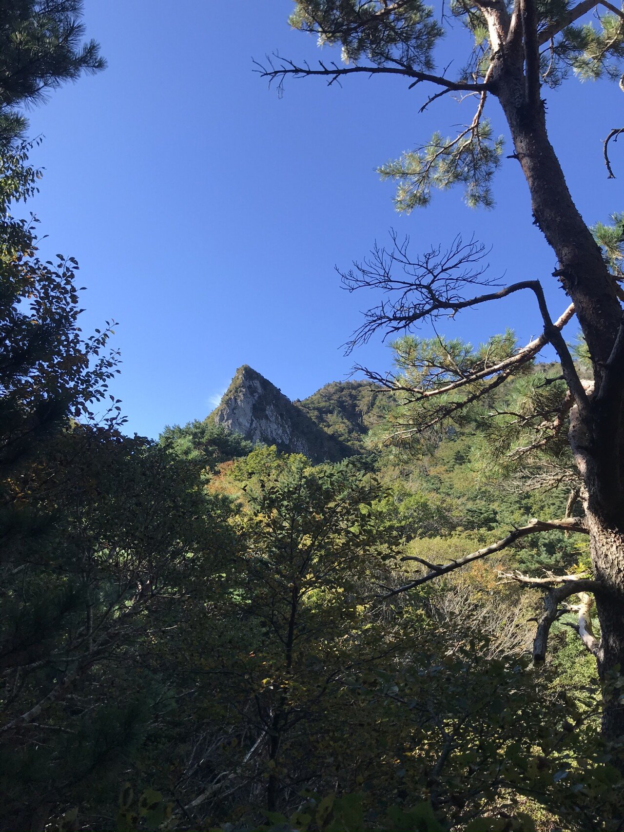 삼각봉(1011).jpeg (개스압)10월 초 한라산 등반후기