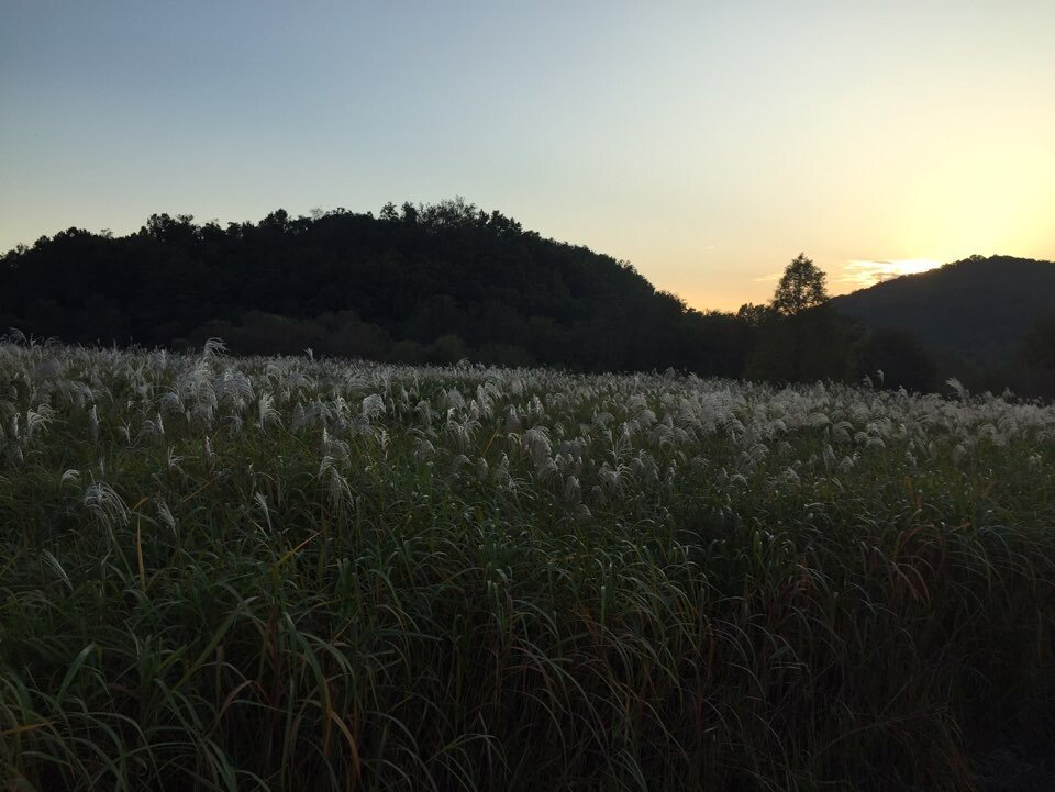 26.jpg 걷는거 좋아하면 천국 인천대공원 편 (초스압)