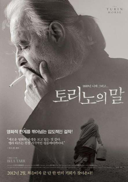 토리노의말.jpg