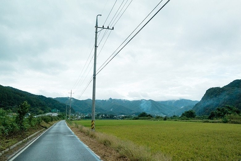 14.jpg 2년전 서울~부산 자전거 종주 후기(사진 스압)