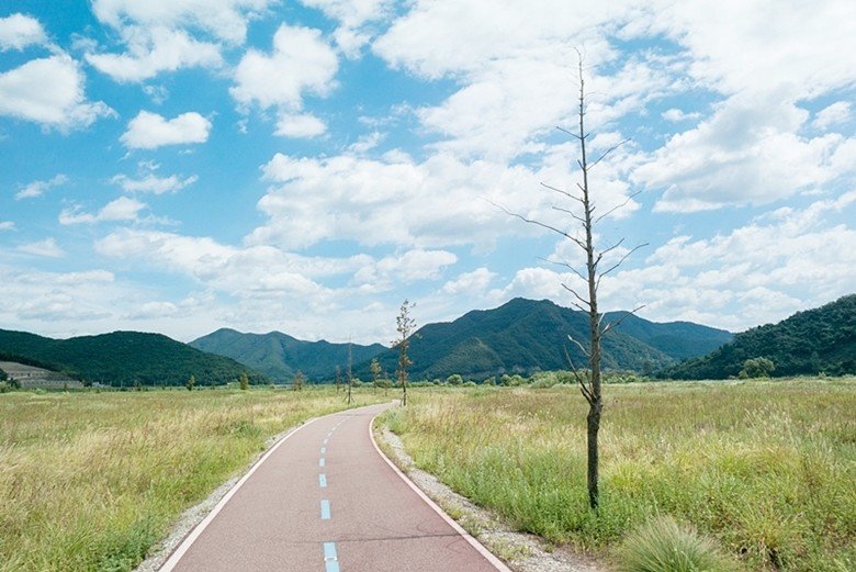 43.jpg 2년전 서울~부산 자전거 종주 후기(사진 스압)