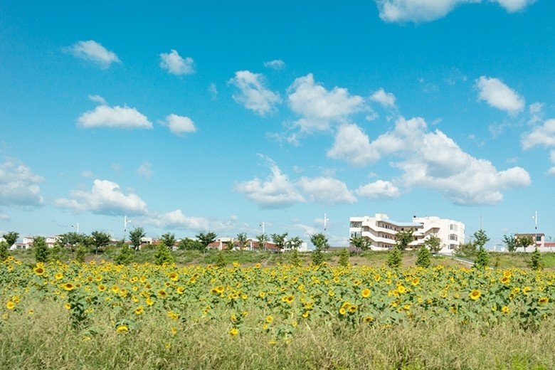 39.jpg 2년전 서울~부산 자전거 종주 후기(사진 스압)