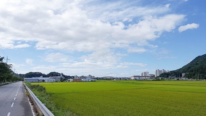 17-1.jpg 2년전 서울~부산 자전거 종주 후기(사진 스압)