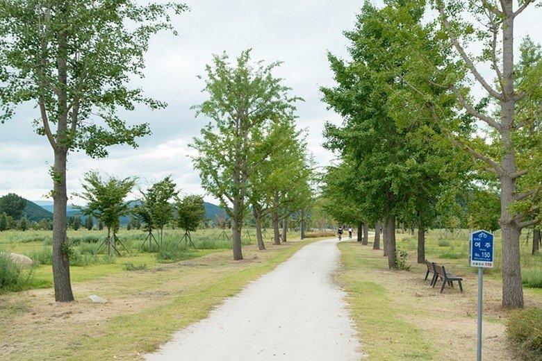 8.jpg 2년전 서울~부산 자전거 종주 후기(사진 스압)