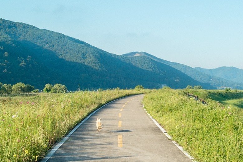 25.jpg 2년전 서울~부산 자전거 종주 후기(사진 스압)