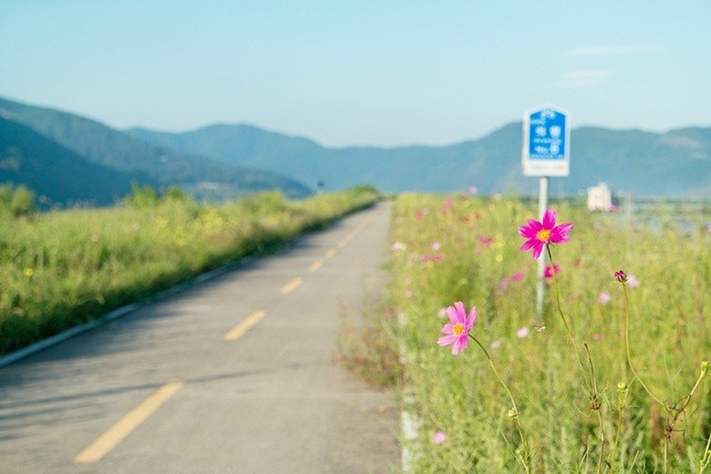 26.jpg 2년전 서울~부산 자전거 종주 후기(사진 스압)