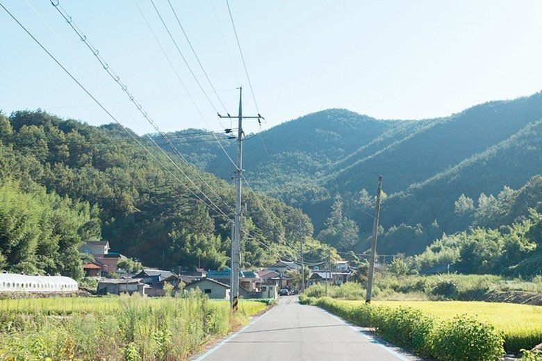 36.jpg 2년전 서울~부산 자전거 종주 후기(사진 스압)