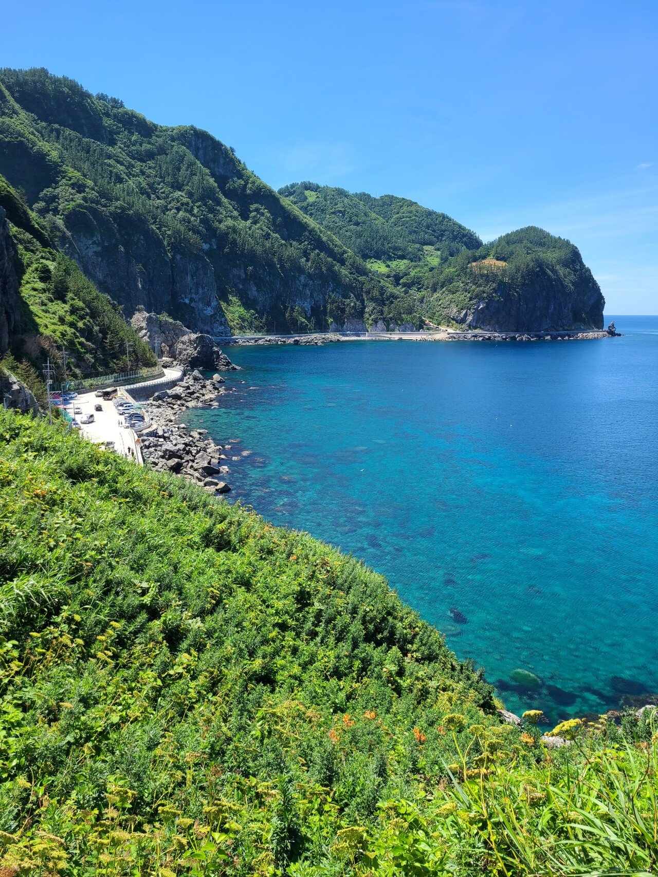 정말 맑은 울릉도 바다