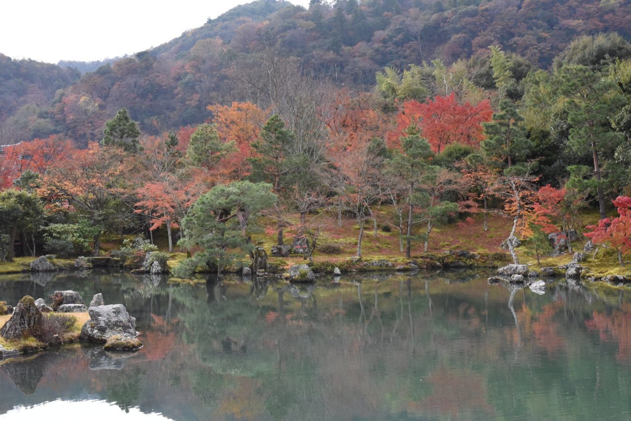 DSC_1294_view.JPG [여행기]갔다온지 한참된 교토 여행기2