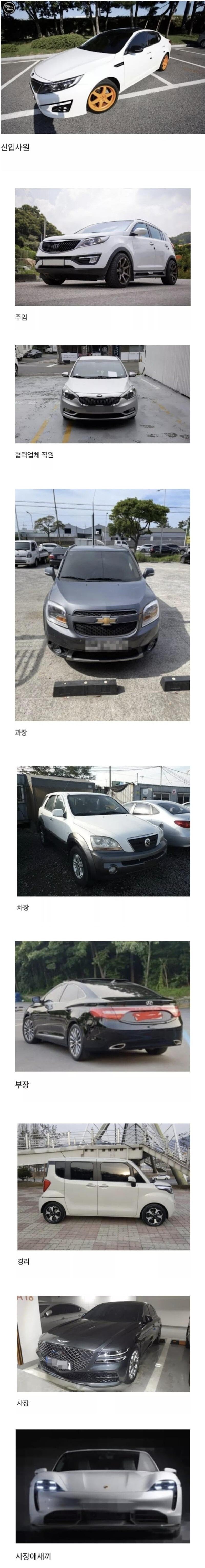 증소기업 직급별 차량 유형들.jpg