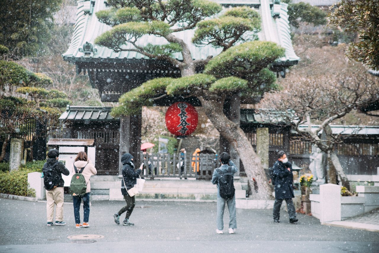 20190215-DSC_7776.jpg [여행기][가마쿠라, 에노시마] 필름 느낌의 여행 사진 몇 장