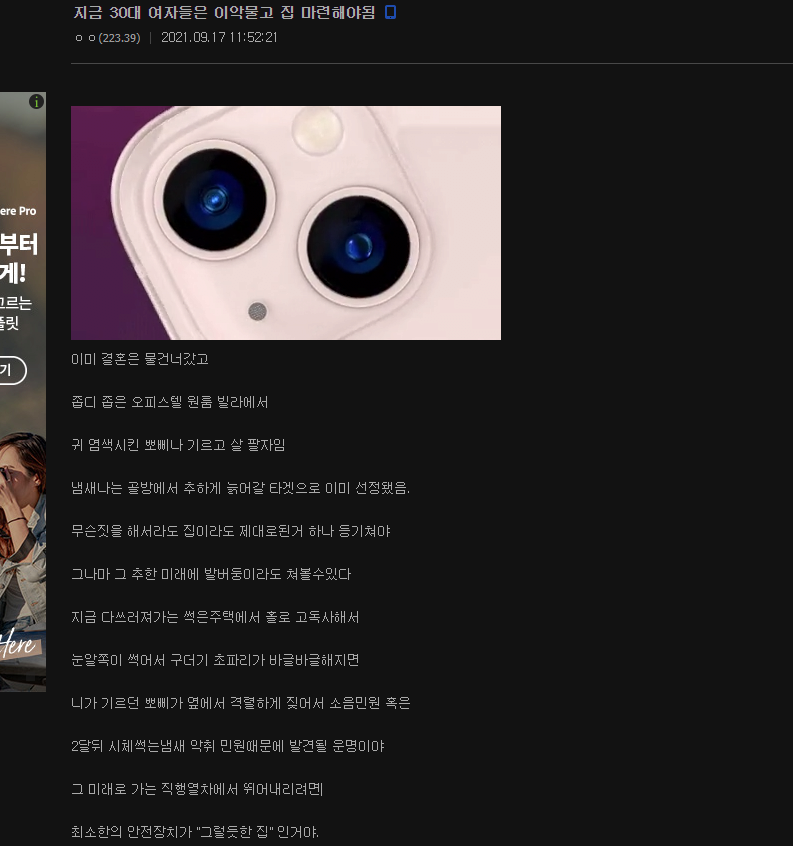 30대.PNG 30대 여자도 내집마련 해야한다는 부동산갤러리 형님