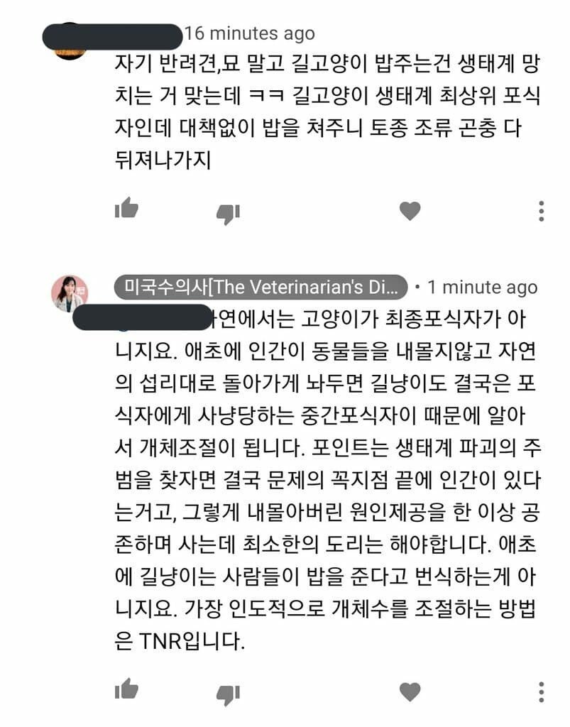 수의사3.jpg 품종묘를 비난하는 수의사님이 키우는 고양이