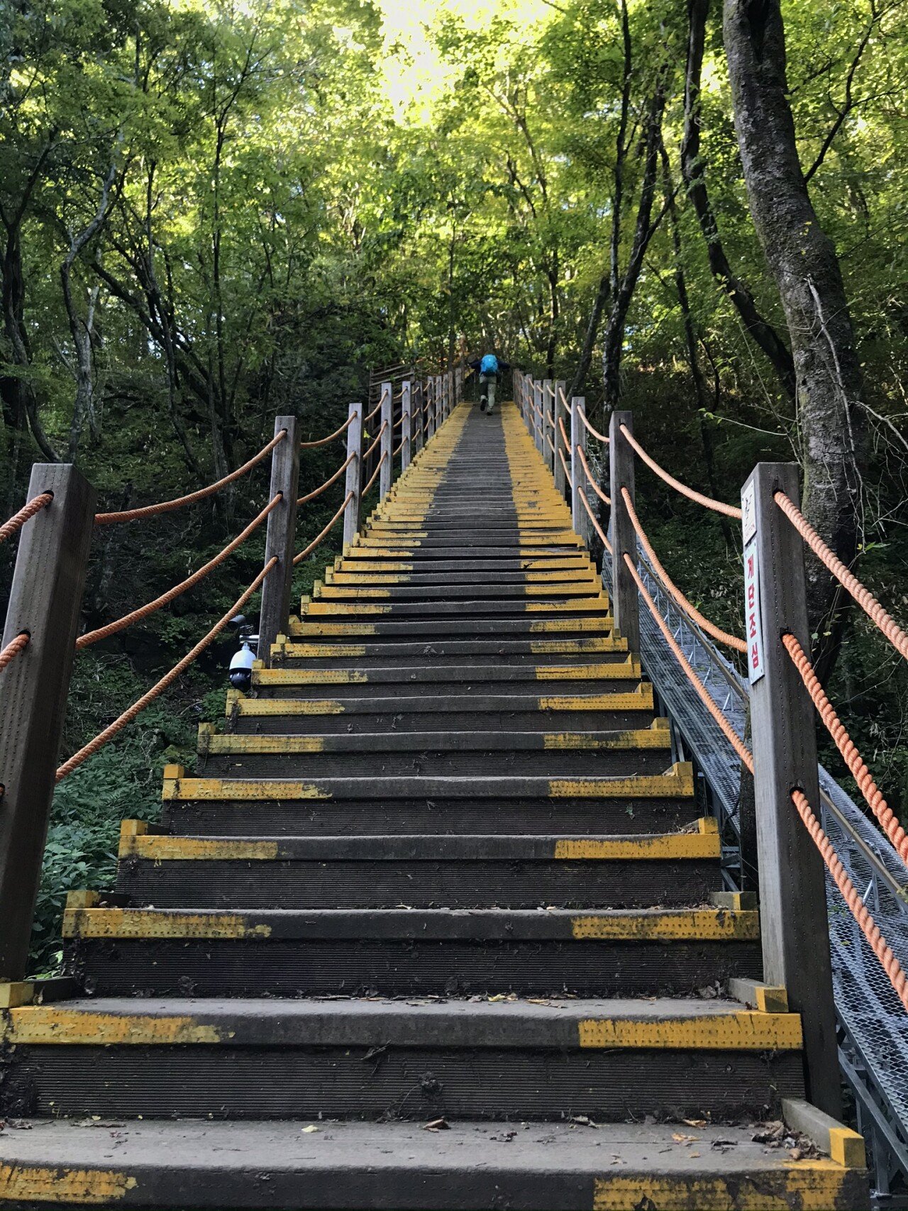 고생끝개고생시작(0821).jpeg (개스압)10월 초 한라산 등반후기