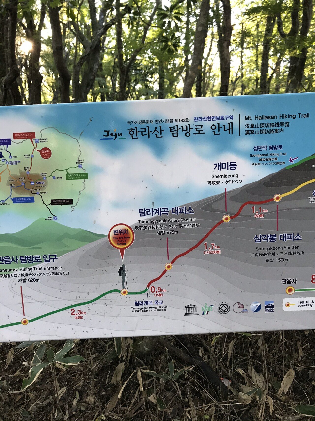 관음사코스안내판(0806).jpeg (개스압)10월 초 한라산 등반후기