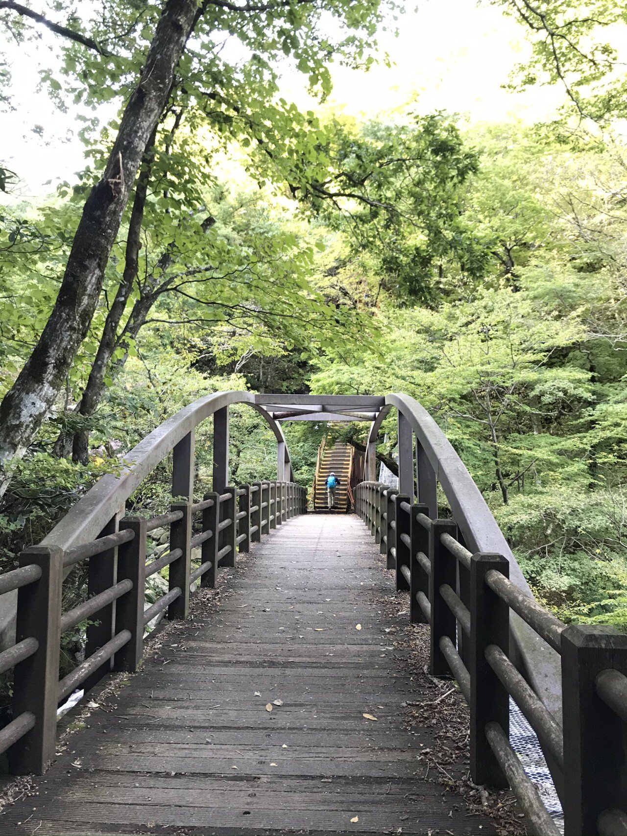 탐라계곡목교(0820).jpeg (개스압)10월 초 한라산 등반후기