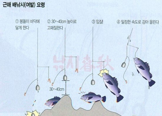 다운로드 (1).jfif.ren.jpg 입문낚시 끝판왕 "우럭"은 어떻게해야 잡는걸까?