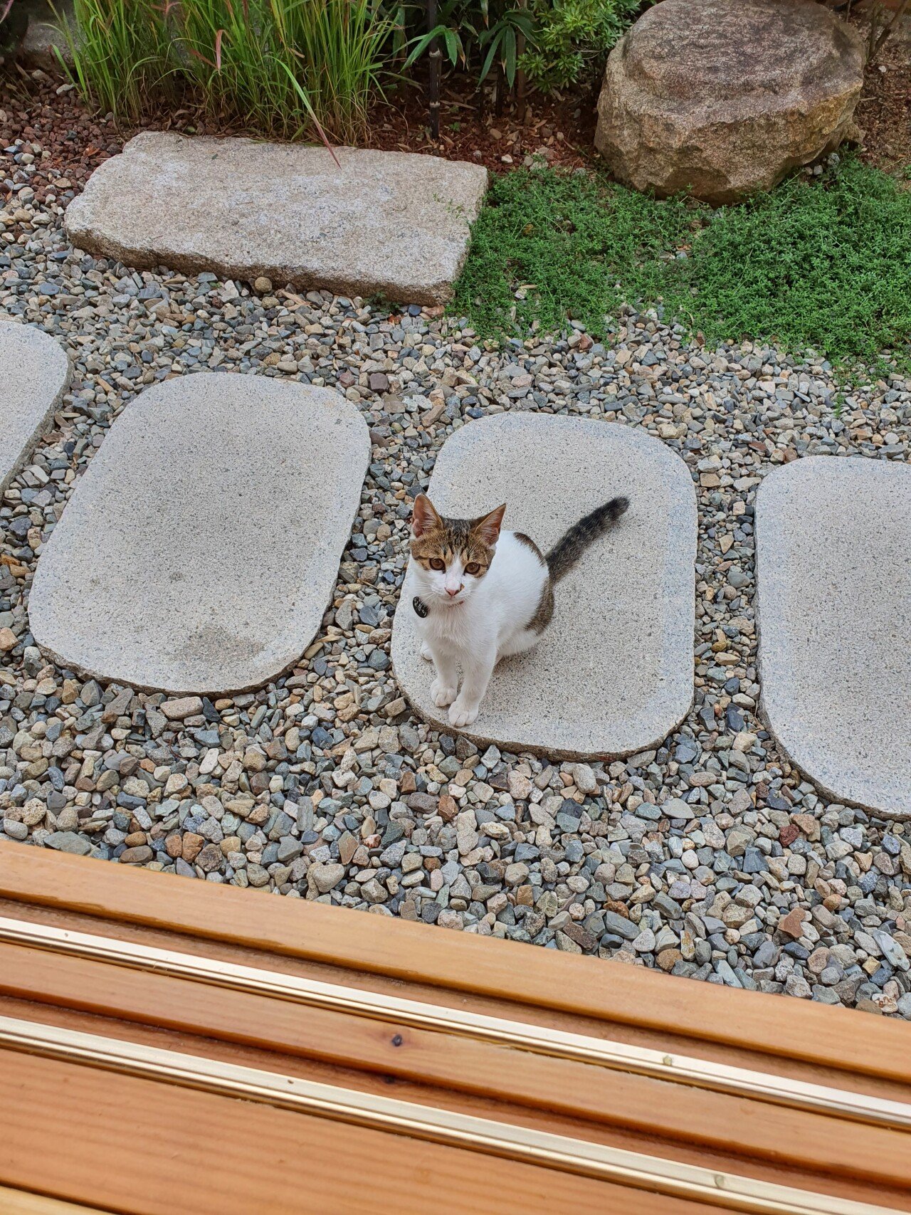 20210809_154101.jpg 경주 여행중입니다. 첫날 돌아다닌 곳