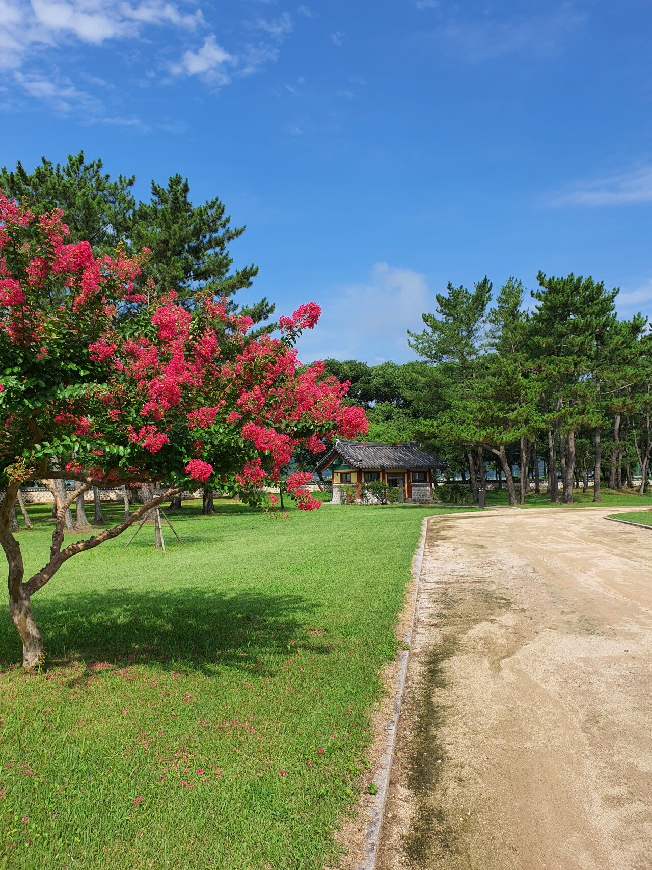 20210811_092335.jpg 경주 잘 놀다갑니다