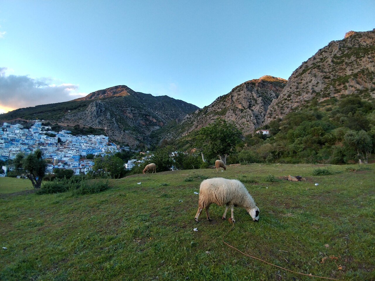 20170430_195628_HDR.jpg 유럽여행 그립네요 스압주의