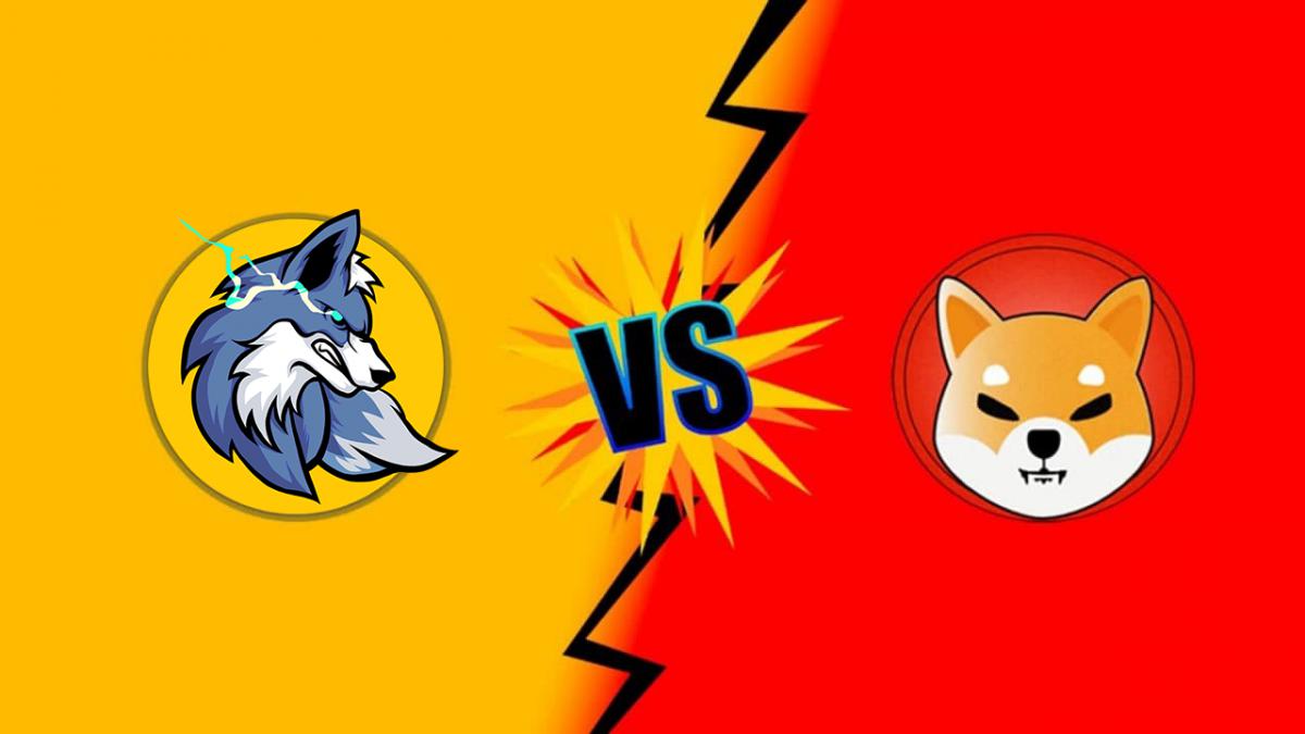 babyvsshiba2.png.jpg