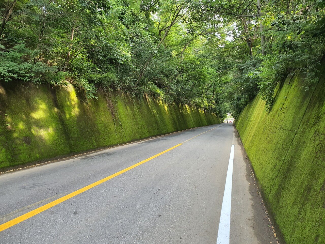 20210720_172707.jpg [국내여행/스압] 1박2일 700km 스쿠터라이딩 여행기(1)