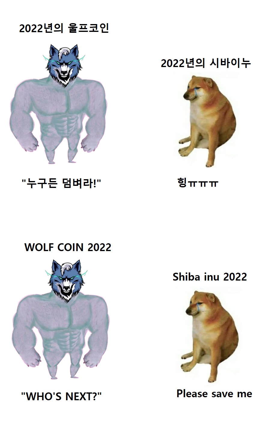 2022년 울프.jpg